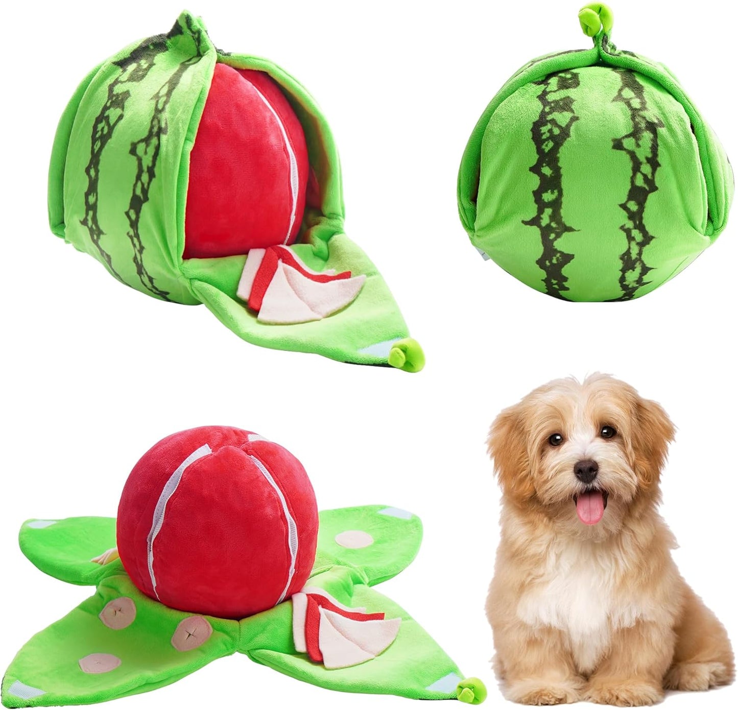 Jachtbeloning Fruit Hondenspel