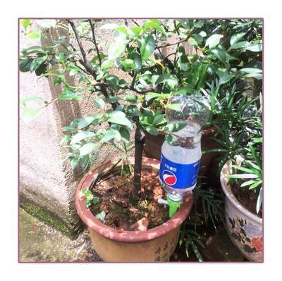 💦 Automatische Plantenbewatering Gieter (2st / set)