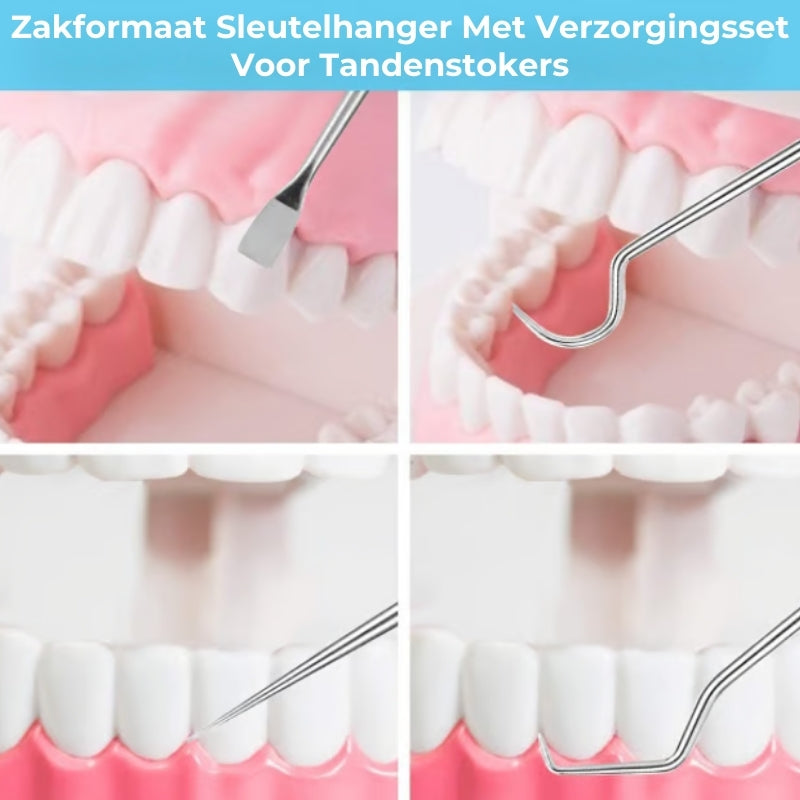 Tandenstoker Set - Roetvrij Staal