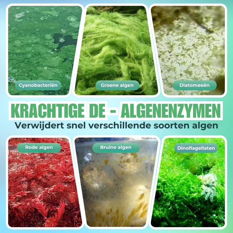 Aquarium Algenverwijderaar