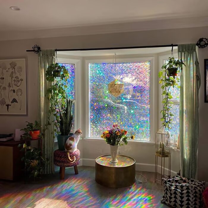 π₯3D Regenboog Raamfolie