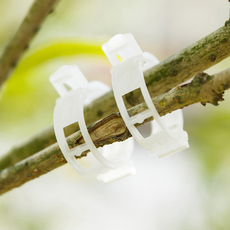 Plantensteun Clips Set (25 stuks)