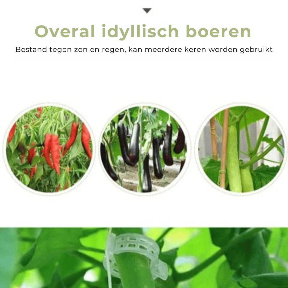 Plantensteun Clips Set (25 stuks)