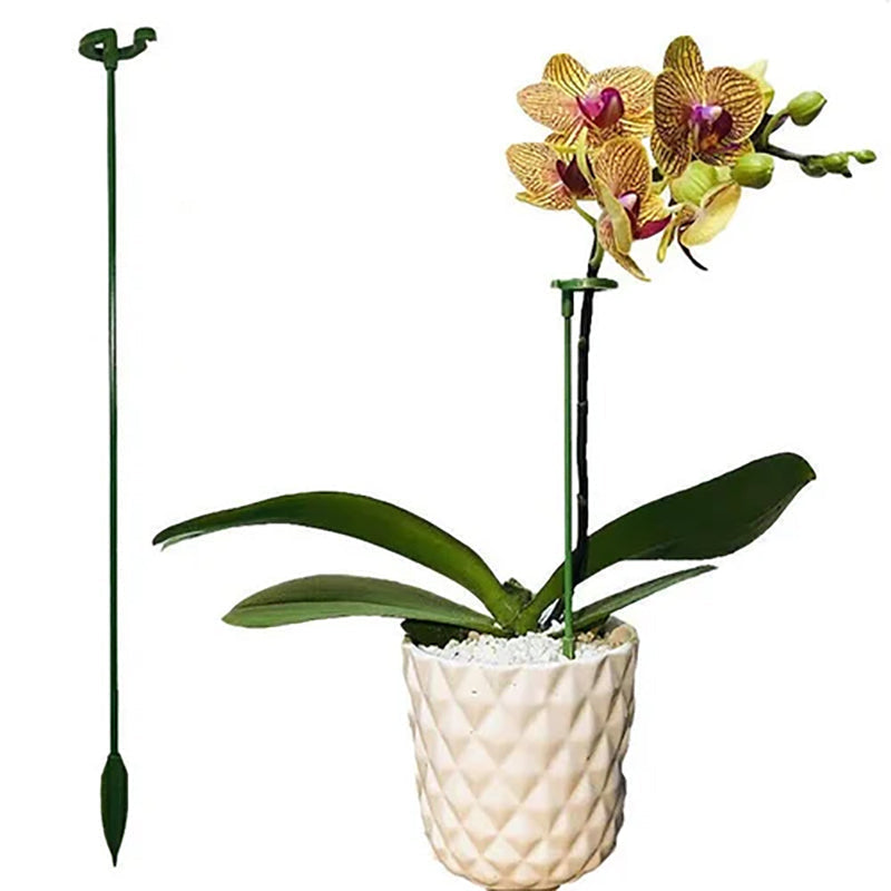 Plantenstengels Steunstelen (10st)