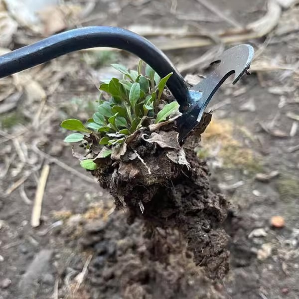 Mangaanstaal Vierpuntig Wiedgereedschap