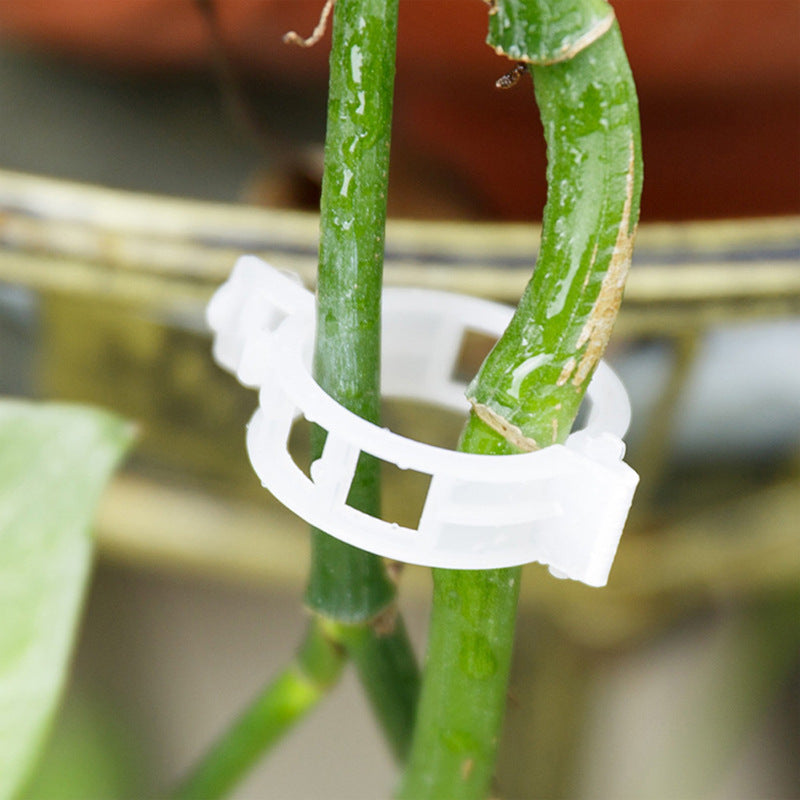 Plantensteun Clips Set (25 stuks)