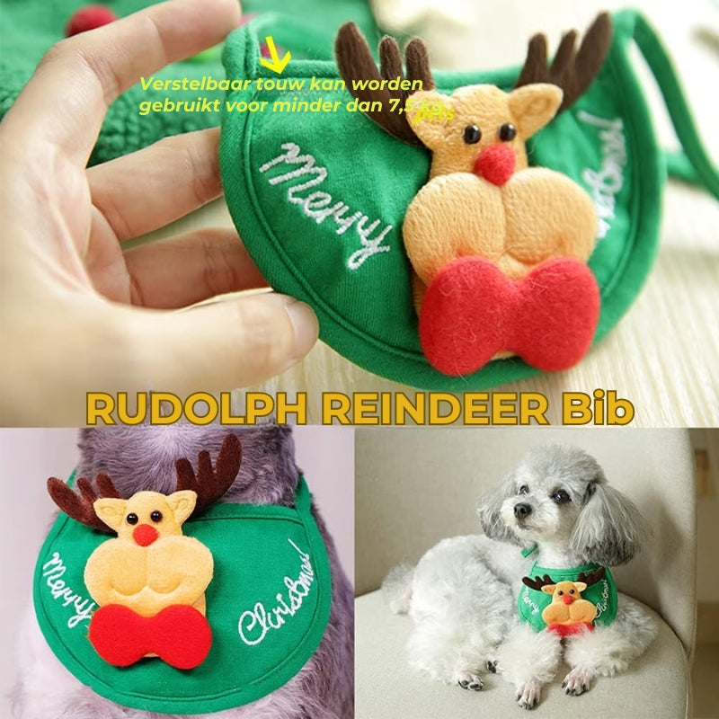 Schattige Hond Kerstkostuum (meerdere maten beschikbaar)