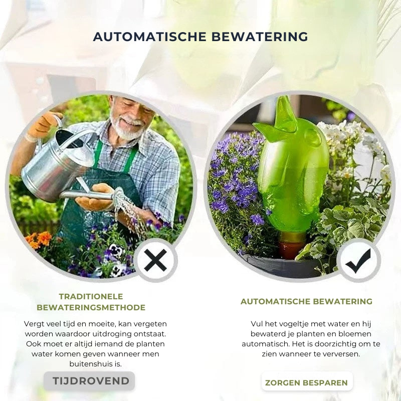 Plantenbewatering Vogel