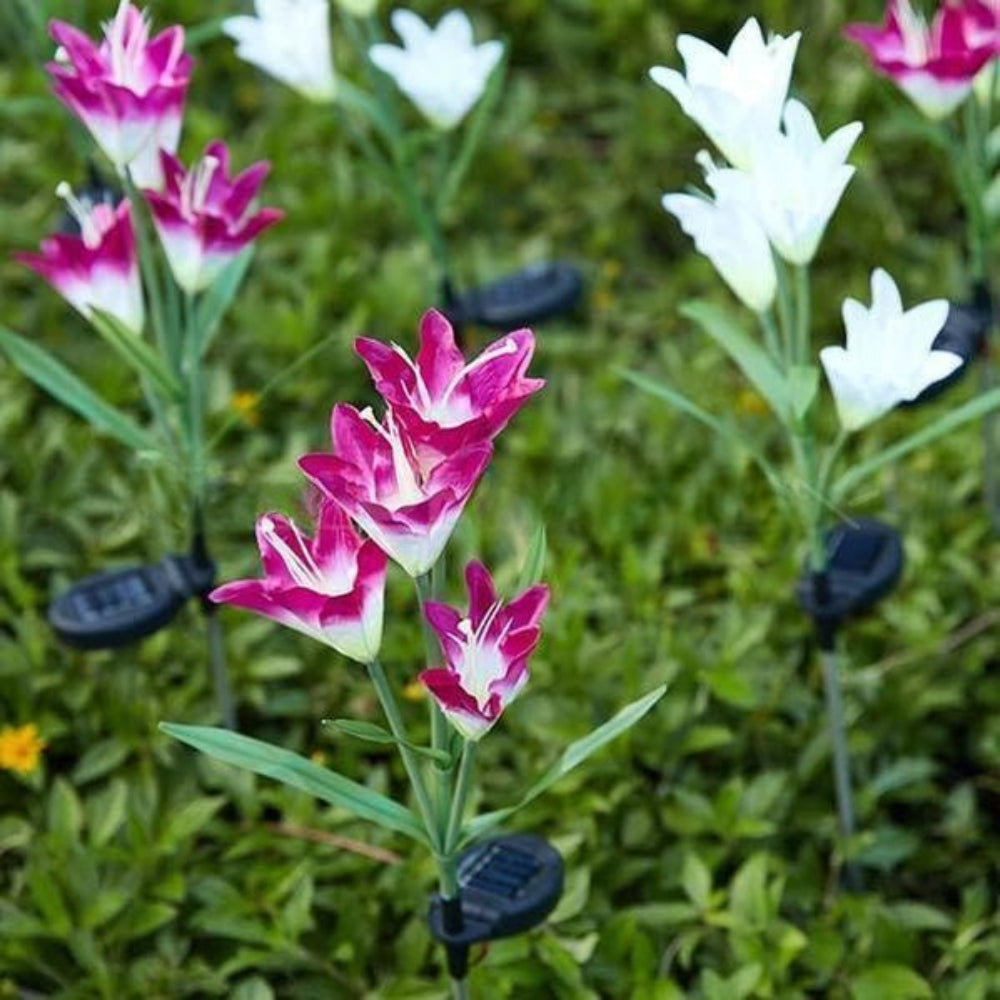 Zonne-energie LED Bloemenverlichting