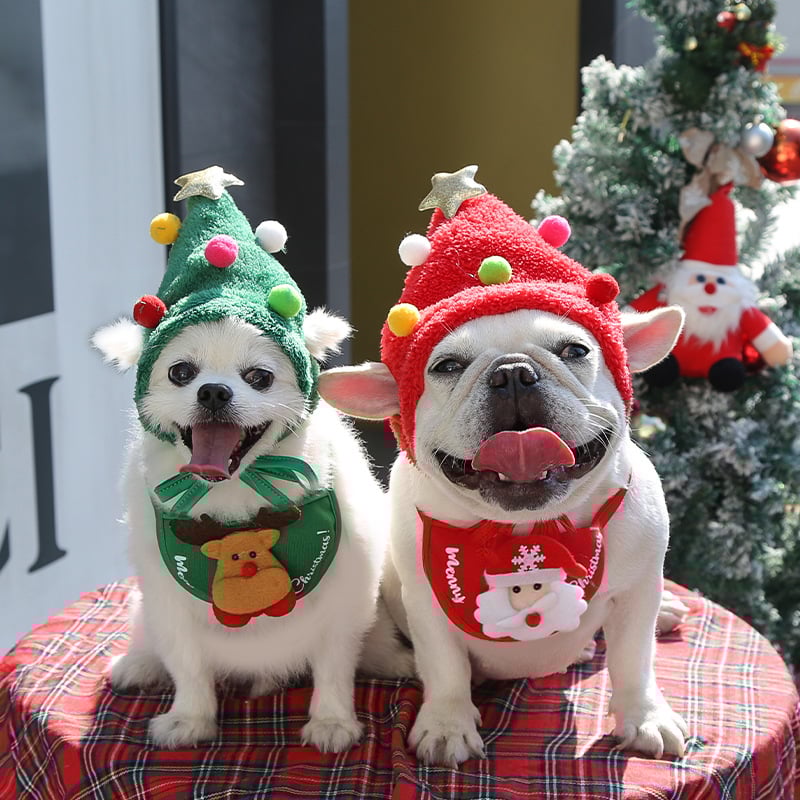 Schattige Hond Kerstkostuum (meerdere maten beschikbaar)