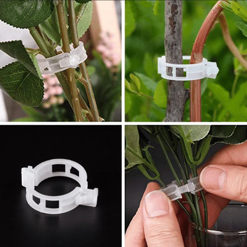 Plantensteun Clips Set (25 stuks)