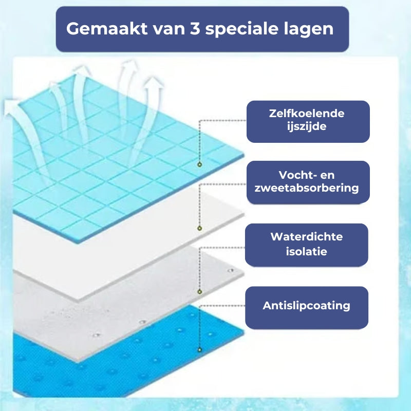 ๐ถ Hondenkoelmat (voor zomerse frisheid)