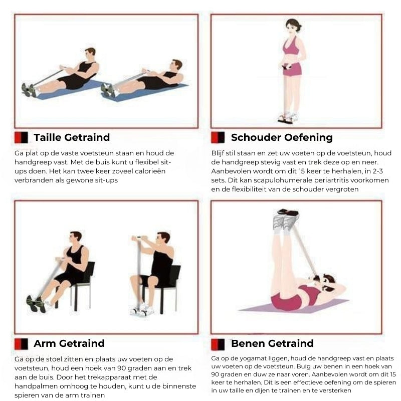 Sit-Up Trainingsrekker