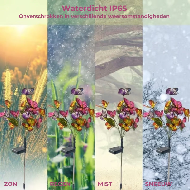 🦋 Zonne-Energie Vlinderlampen