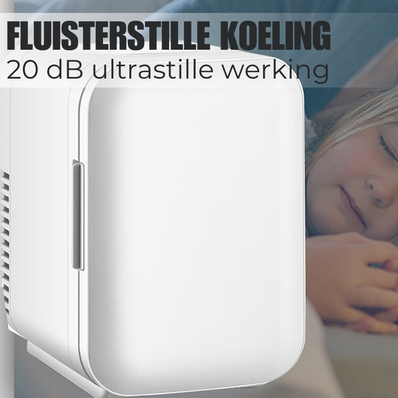 Koelkast Voor In De Auto