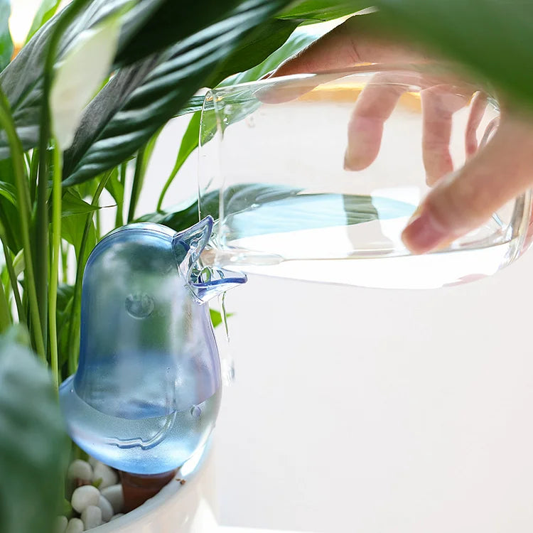 Plantenbewatering Vogel