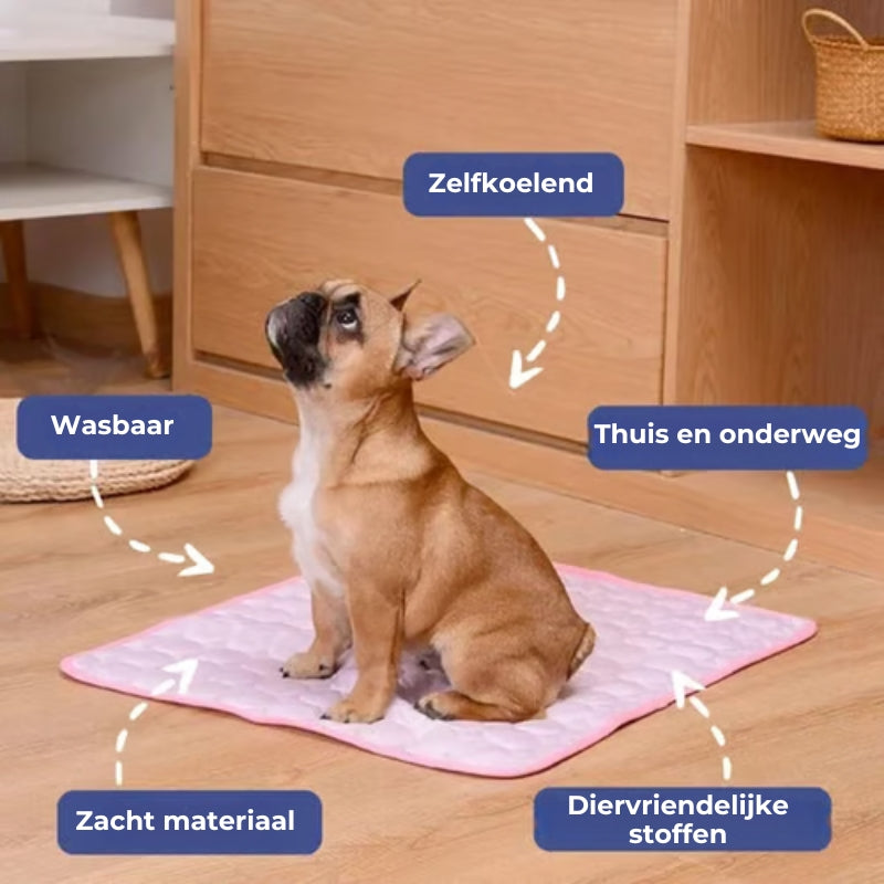 ๐ถ Hondenkoelmat (voor zomerse frisheid)