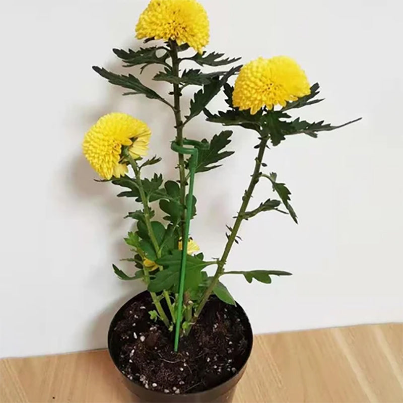 Plantenstengels Steunstelen (10st)