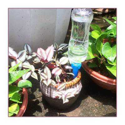 💦 Automatische Plantenbewatering Gieter (2st / set)