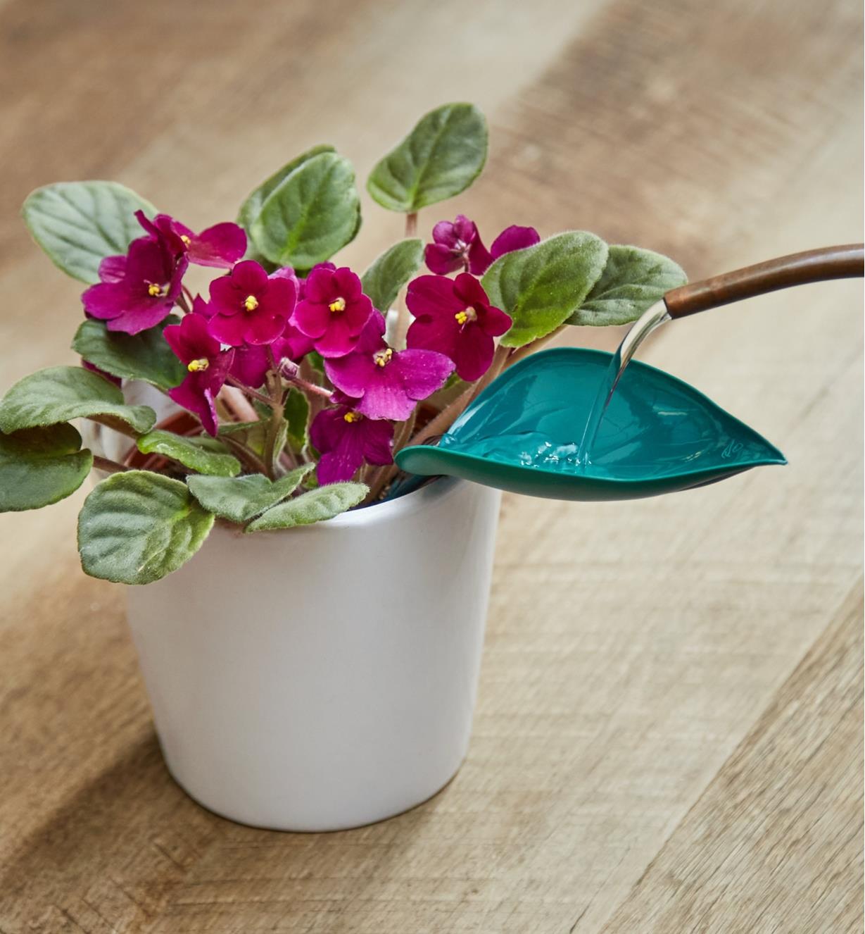 π Bloempot Bewateringsblad (4st/set)