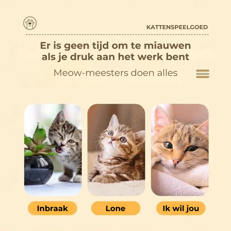 Bokszak Interactief Kattenspeeltje