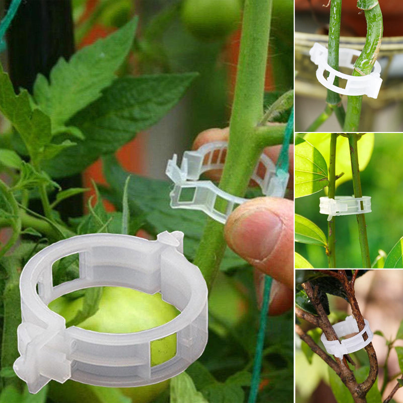 Plantensteun Clips Set (25 stuks)