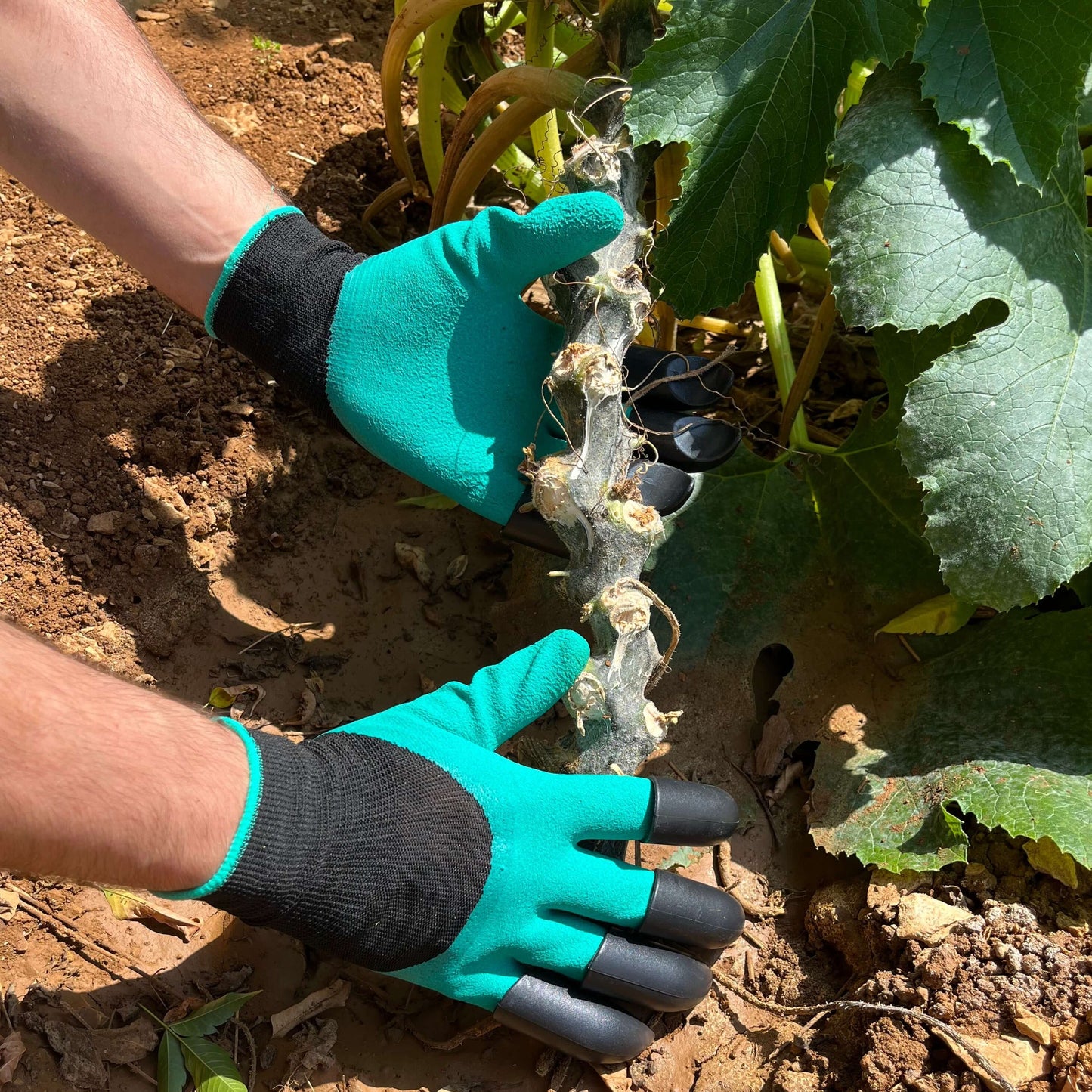 Tuinwerk geklauwde handschoenen (1 paar)