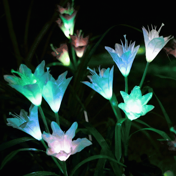 Zonne-energie LED Bloemenverlichting