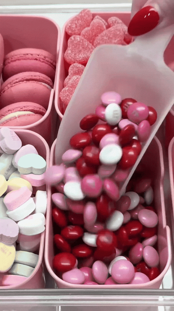 Snack Box – Handige doos met 8 vakken voor snacks onderweg, op het strand en op feestjes
