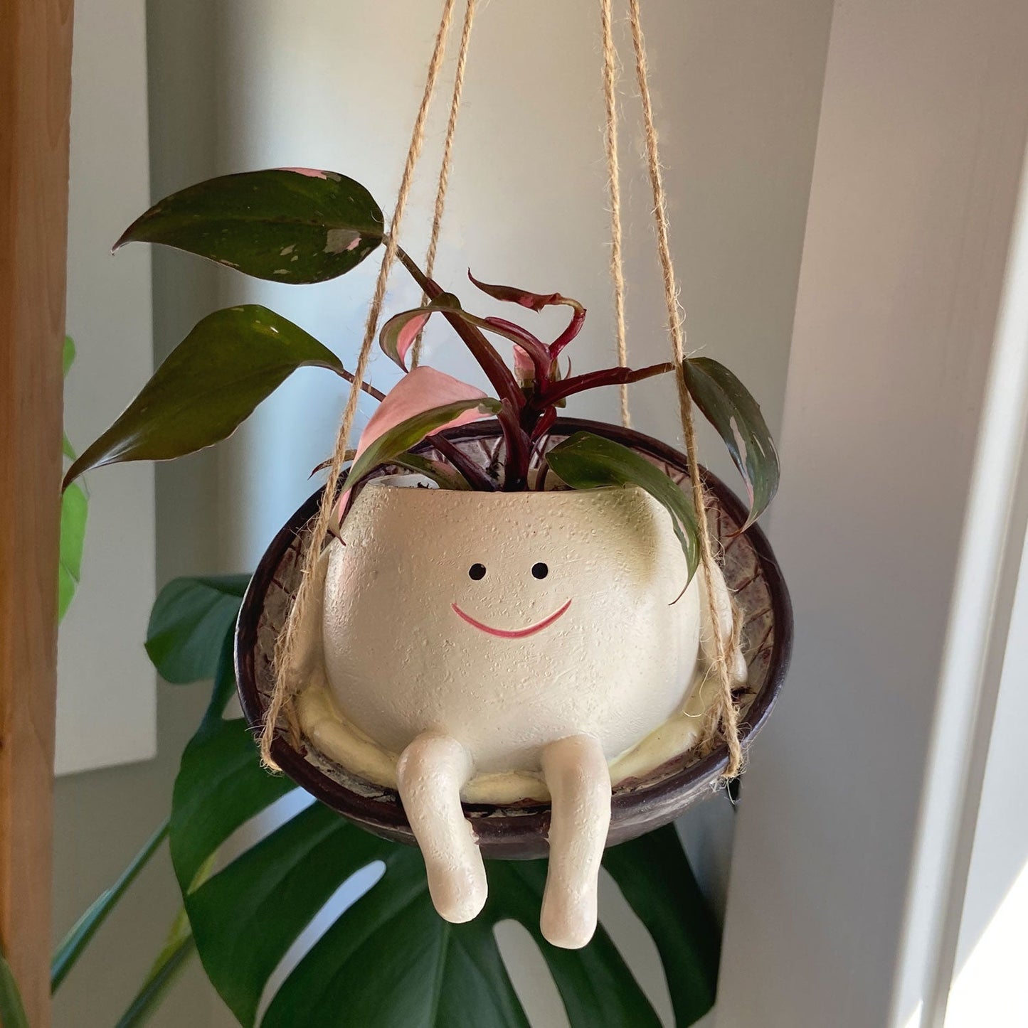 Blije Schommelende Plantenpot