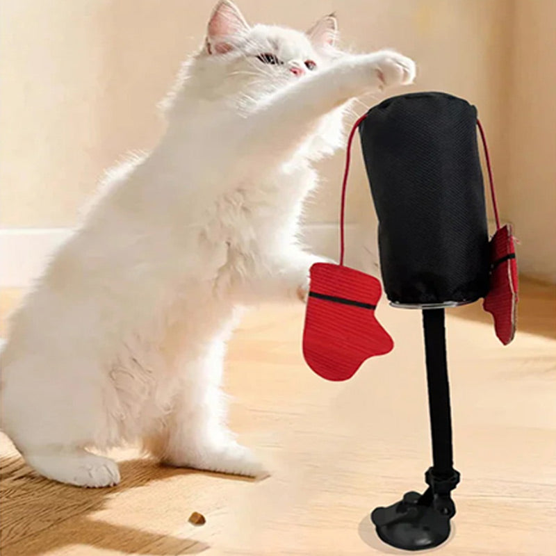 Bokszak Interactief Kattenspeeltje