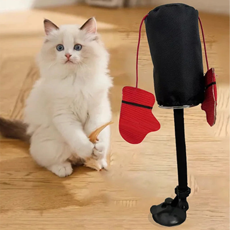 Bokszak Interactief Kattenspeeltje