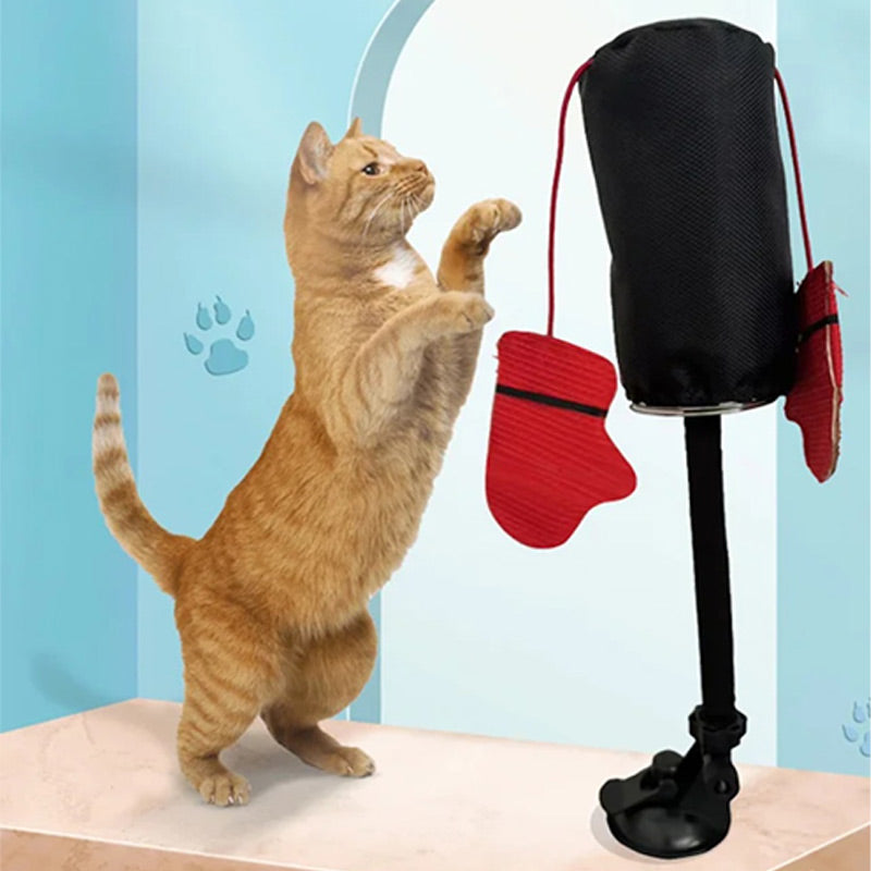 Bokszak Interactief Kattenspeeltje