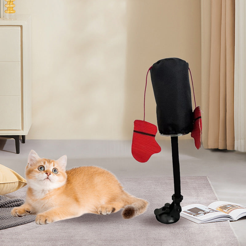 Bokszak Interactief Kattenspeeltje