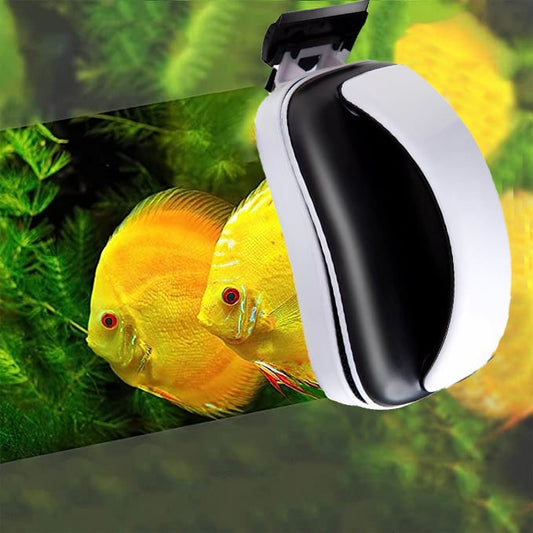 Sterke Magnetische Aquariumschraper