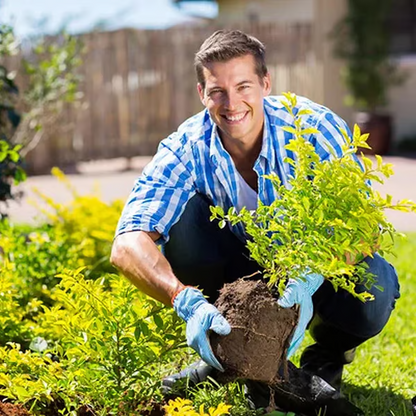 Minerale Bodemvoeding - Verbeter je plantgrond - 1+1 GRATIS
