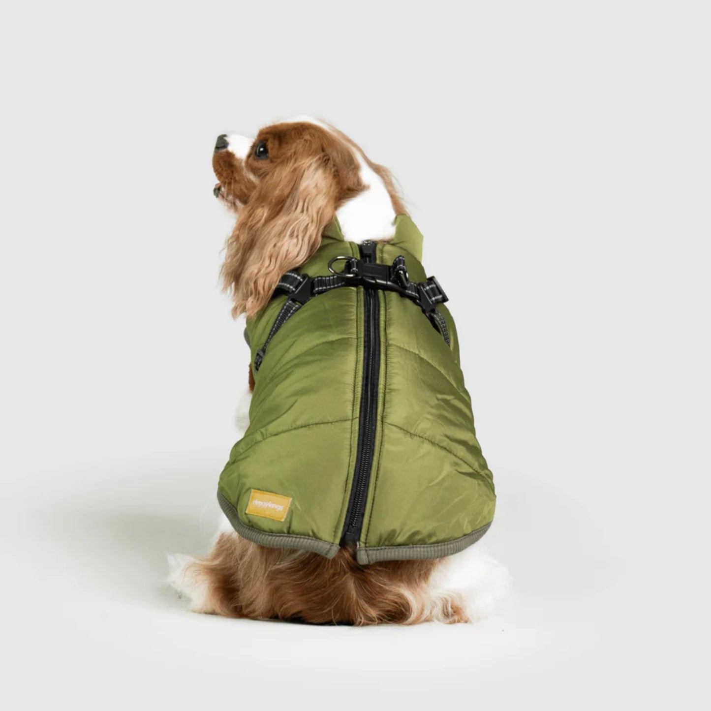DoggyKings™ 3-in-1 Hondenjas