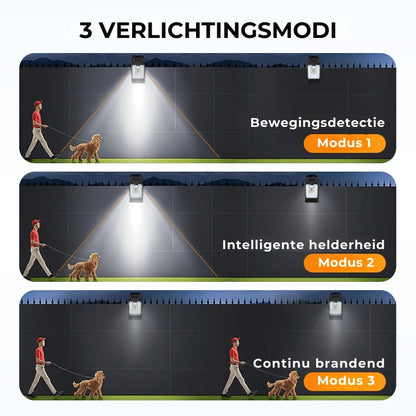 Solar Buitenlamp met Klem en Bewegingssensor