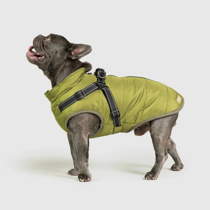 DoggyKings™ 3-in-1 Hondenjas