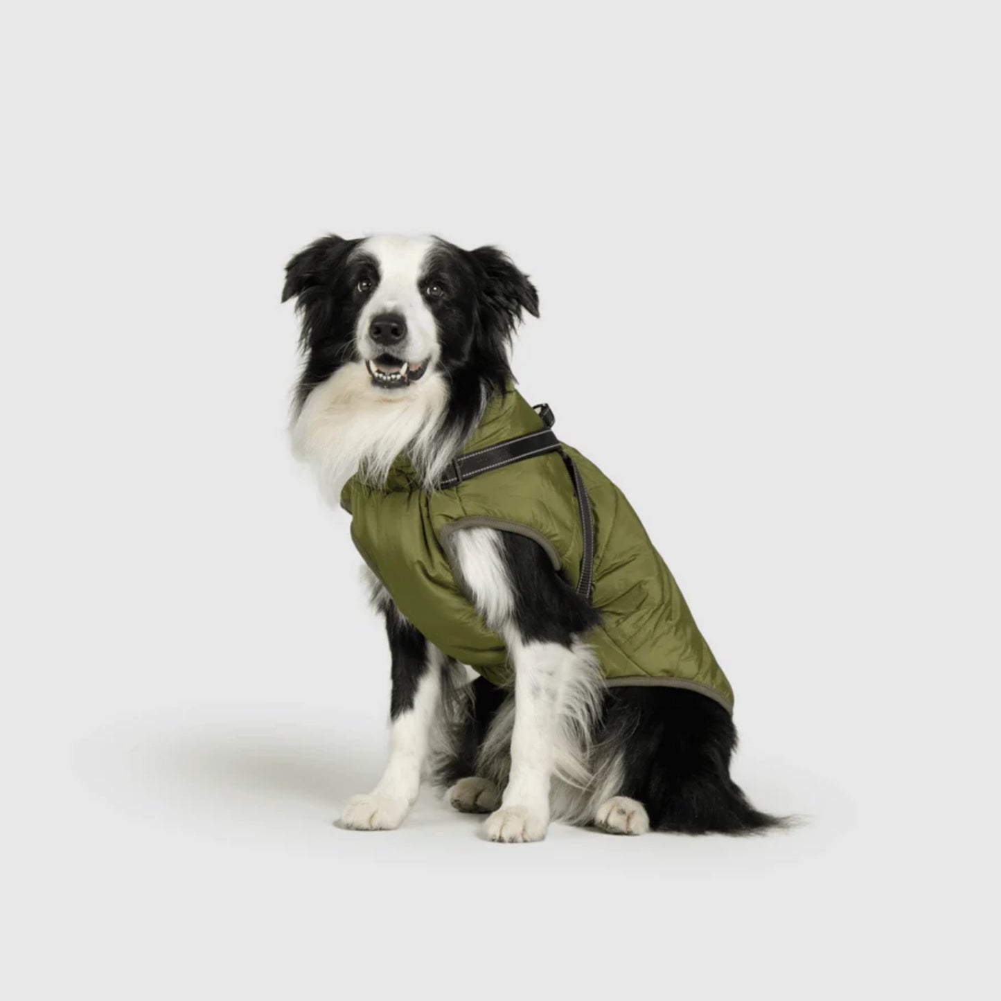 DoggyKings™ 3-in-1 Hondenjas