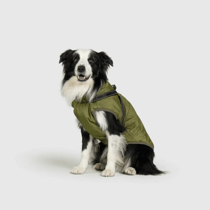 DoggyKings™ 3-in-1 Hondenjas