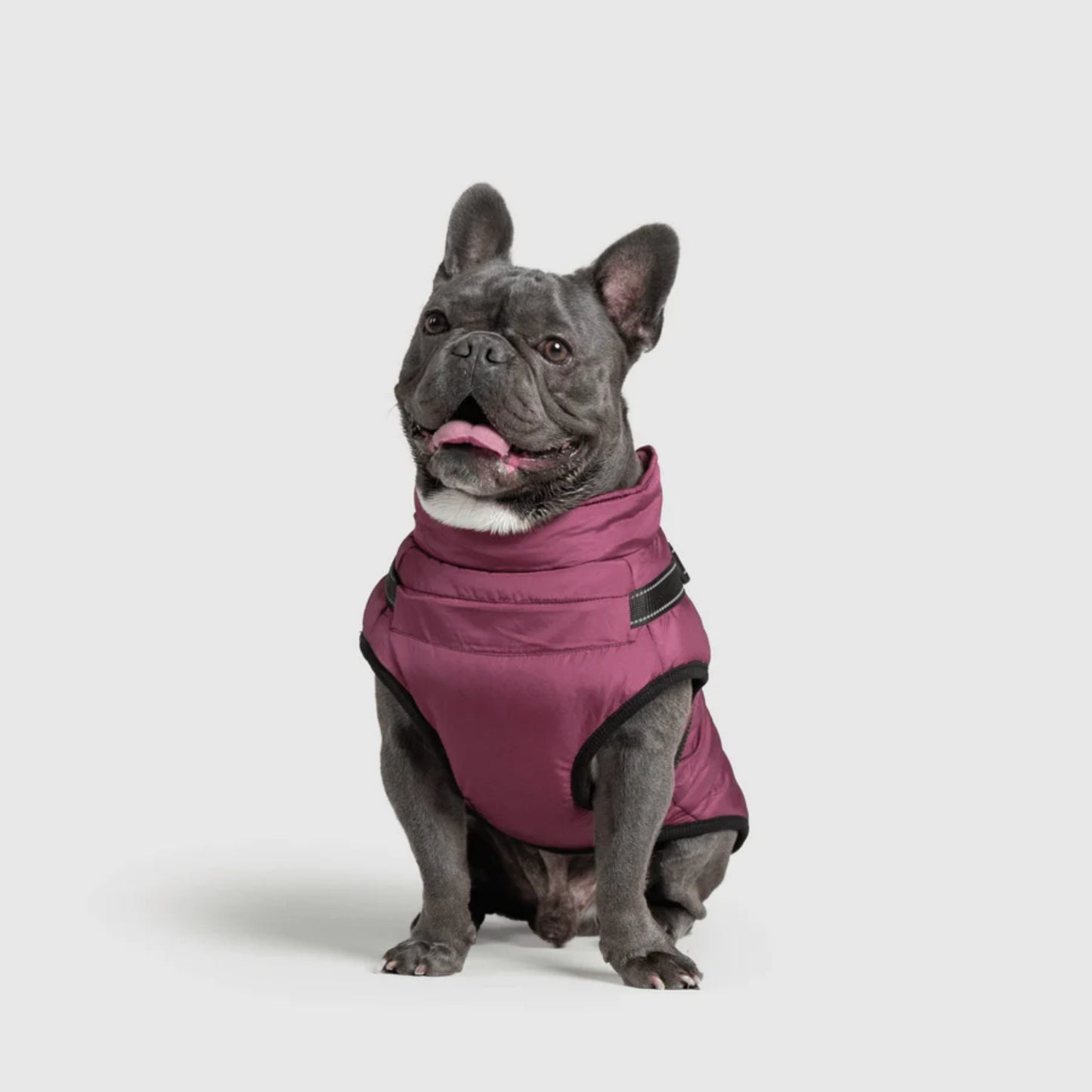 DoggyKings™ 3-in-1 Hondenjas