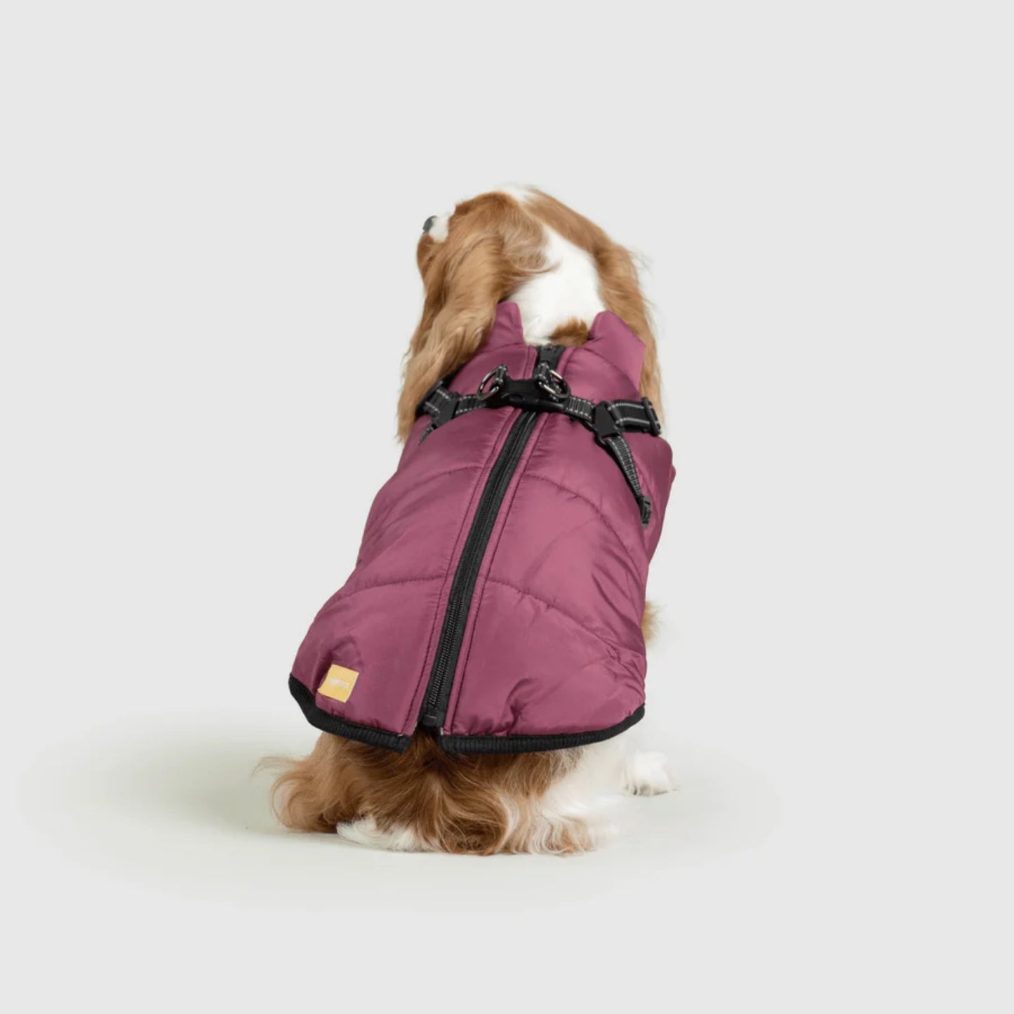DoggyKings™ 3-in-1 Hondenjas