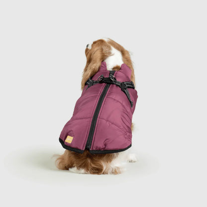DoggyKings™ 3-in-1 Hondenjas