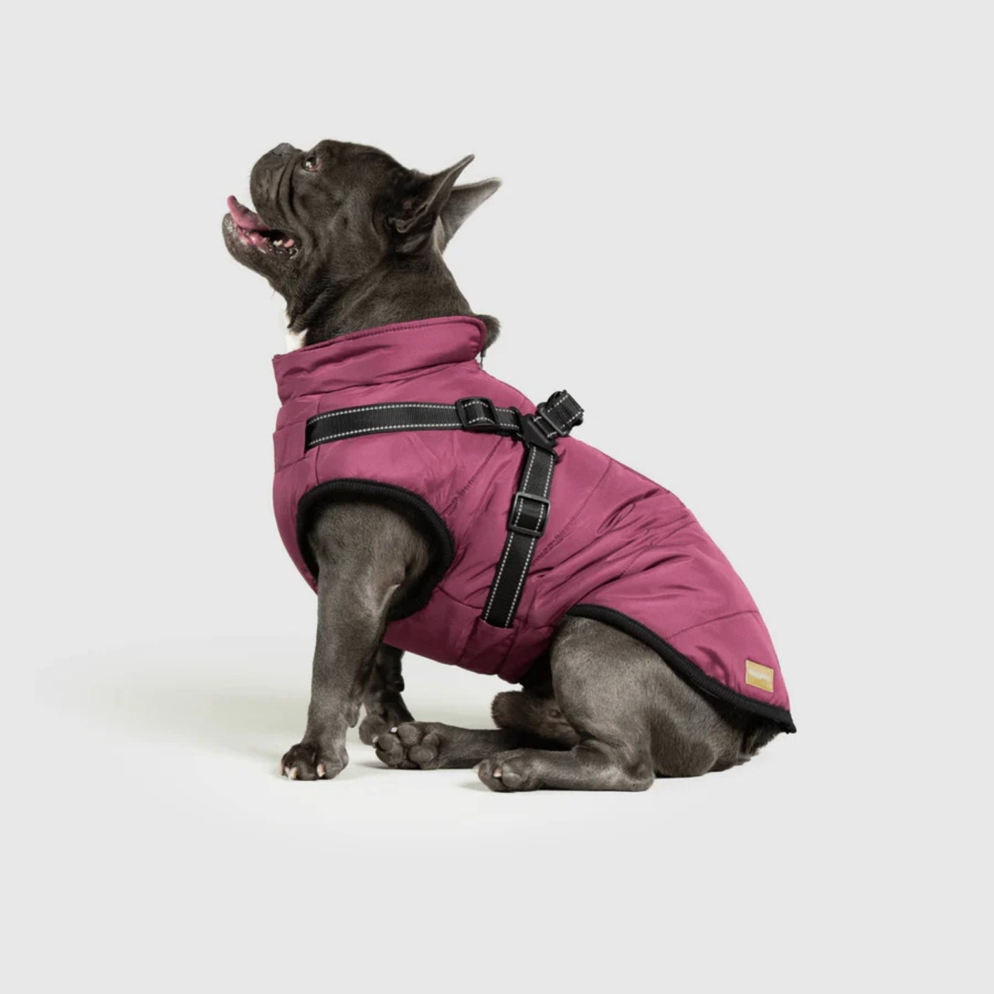 DoggyKings™ 3-in-1 Hondenjas