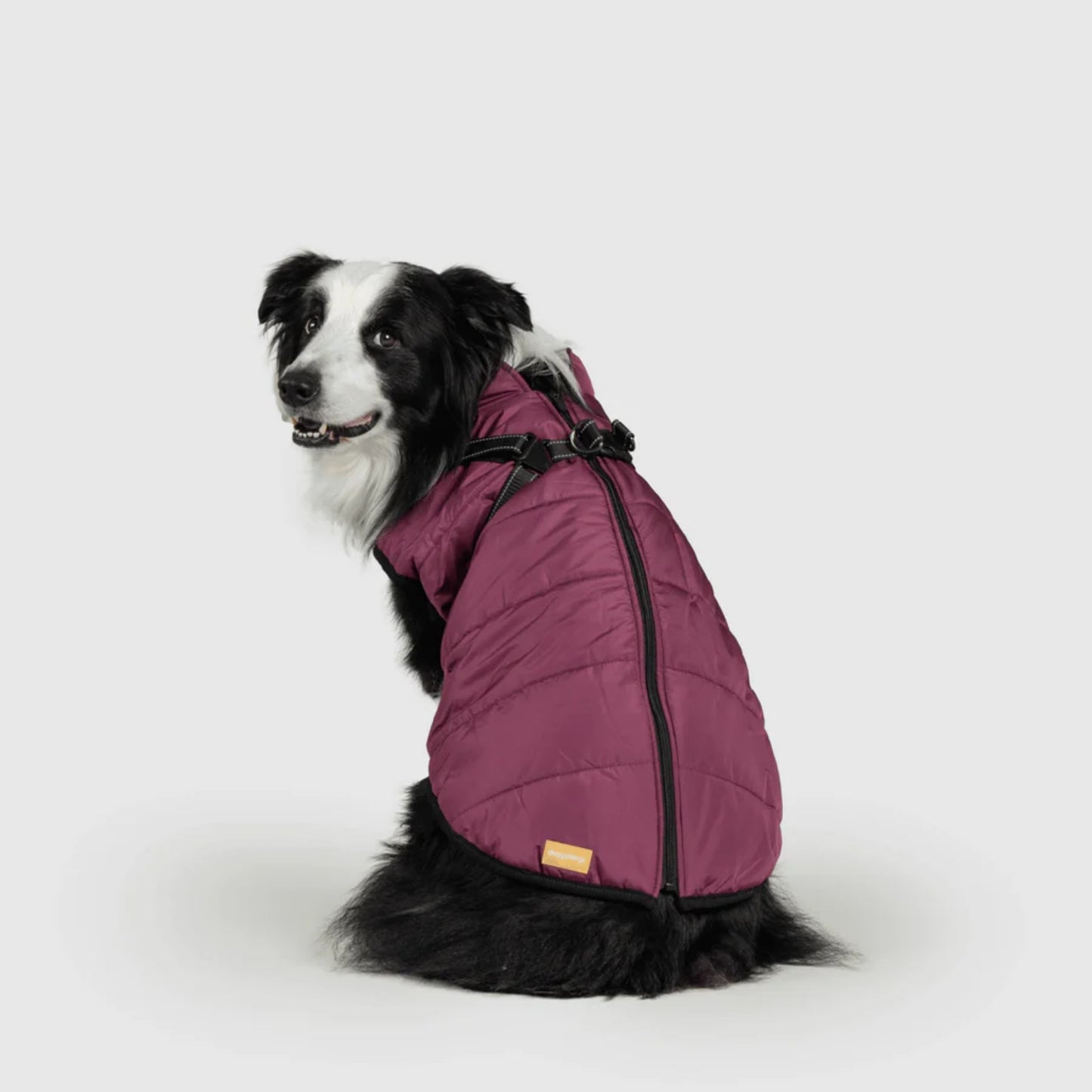 DoggyKings™ 3-in-1 Hondenjas