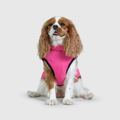 DoggyKings™ 3-in-1 Hondenjas