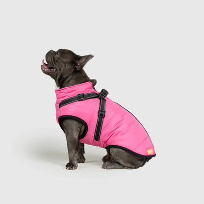 DoggyKings™ 3-in-1 Hondenjas