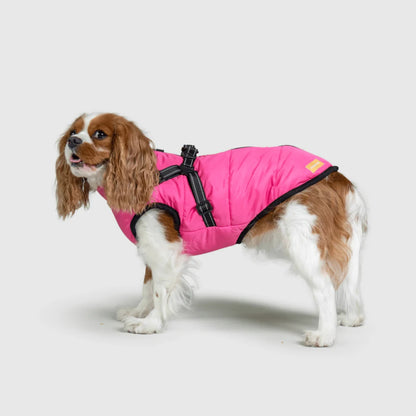 DoggyKings™ 3-in-1 Hondenjas