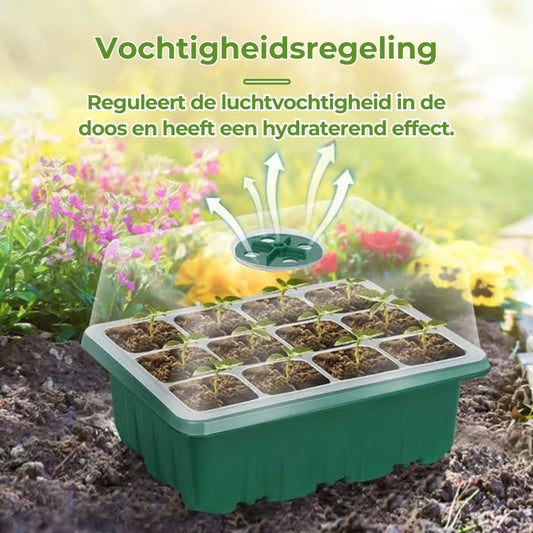 Zaaibakken met kweeklamp